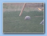[Click to enlarge image]